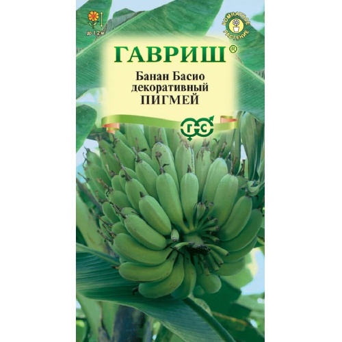 Банан декоративный Пигмей  3шт_10