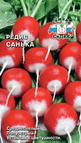 Редис Санька  2гр_10