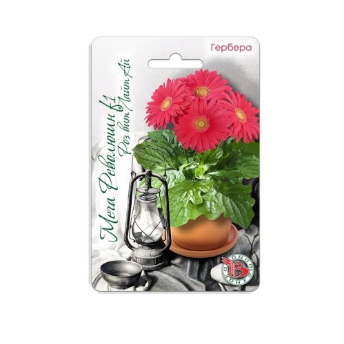 Гербера Мега Революшн F1 Роз вит Лайт Ай  5шт_5_10