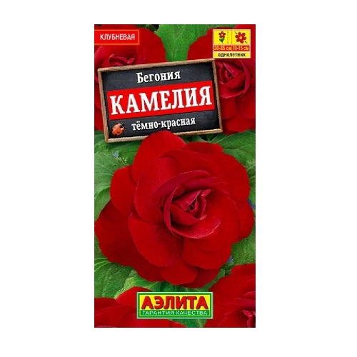 Бегония Камелия темно-красная крупноцветковая  10шт_10