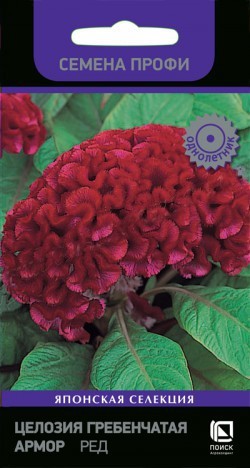 Целозия Армор Ред гребенчатая  15шт_10