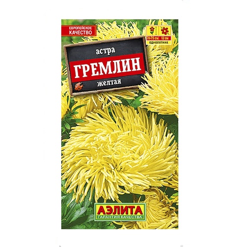 Астра Гремлин желтая  0_2гр_10