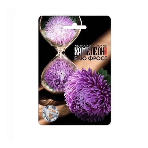 Астра Хамелеон Блю Фрост китайская  30шт_5