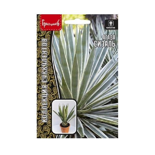 Агава Сизаль 10шт. _10