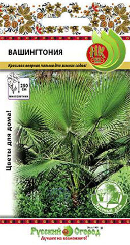 Вашингтония  4шт_10_200