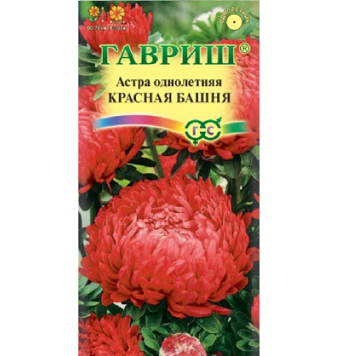 Астра Красная башня  0_3гр_10