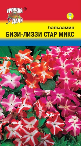 Бальзамин Бизи-Лиззи Стар микс  0_01гр_5шт_10