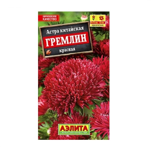 Астра Гремлин красная  0_2гр_10