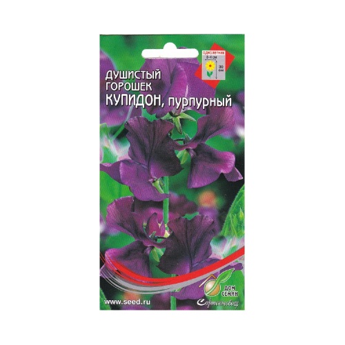 Душистый горошек Купидон пурпурный  6шт_10