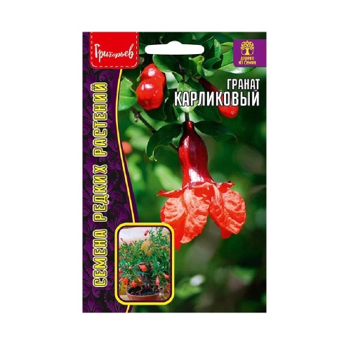 Гранат Карликовый 5шт _10