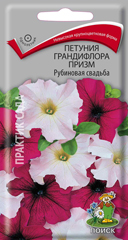 Петуния Призм Рубиновая свадьба грандифлора  20шт_10