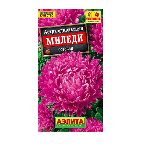 Астра Миледи розовая  0_2гр_10