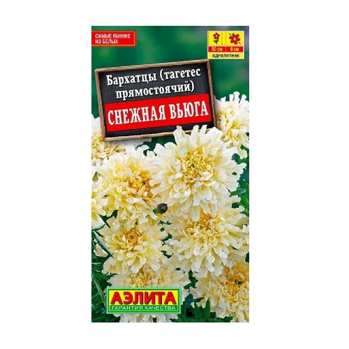 Бархатцы Снежная вьюга 7шт  _10