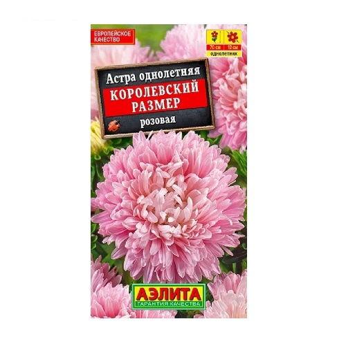 Астра Королевский размер Розовая  0_1гр_10