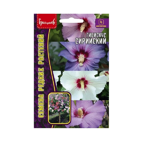 Гибискус Сирийский  7шт_10