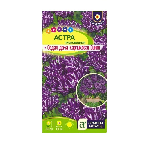 Астра Седая Дама Синяя карликовая 0_05-0_2гр_10