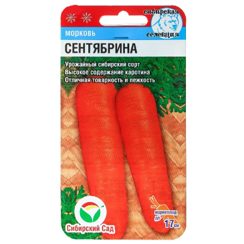 Морковь Сентябрина  2гр_10