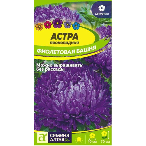 Астра Фиолетовая Башня 0_2гр _10