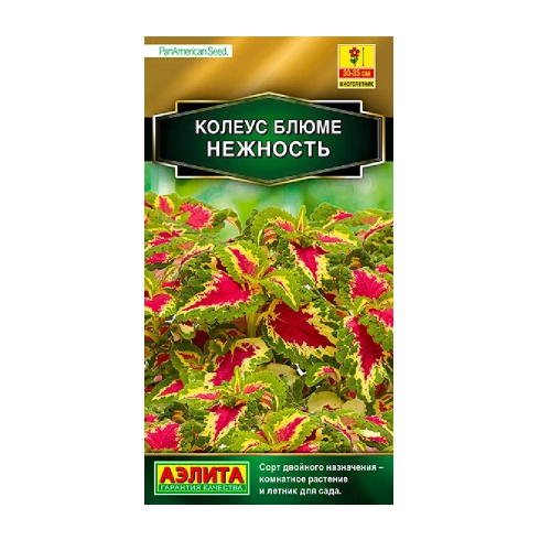 Колеус Блюме Нежность  5шт_10