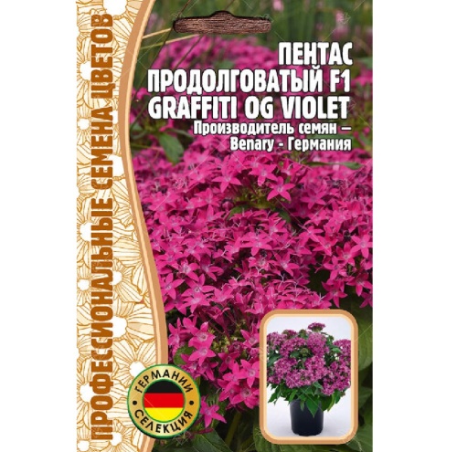 Пентас F1 Graffiti OG Violet  3шт_10