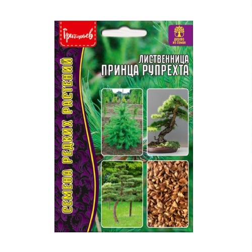 Лиственница Принца Рупрехта 15шт _10