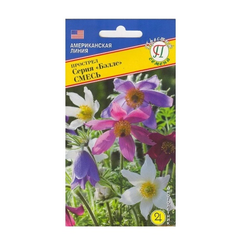 Прострел Беллс смесь  5шт_10
