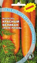 Морковь Красный великан_Ротэ Ризен  300шт_10_420