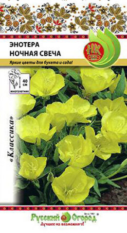 Энотера Ночная свеча  0_2гр_10_200