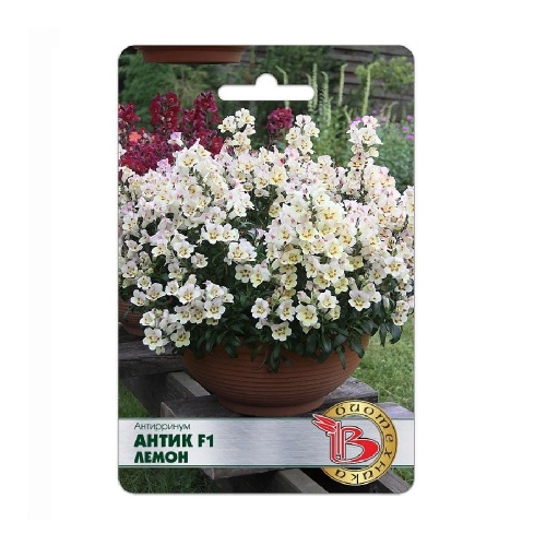 Антирринум Антик F1 Лемон  20шт_5