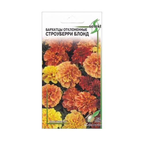Бархатцы Строуберри Блонд отклоненные 10шт _10
