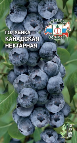 Голубика канадская Нектарная  0_05гр_10