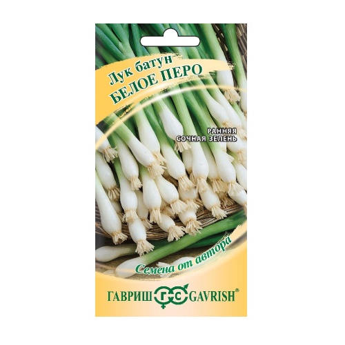 Лук батун Белое перо  0_5гр_10