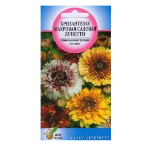 Хризантема садовая Дунети 70 шт_10