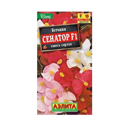 Бегония Сенатор смесь F1 вечноцветущая  10шт_10