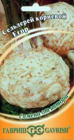 Сельдерей корневой Егор  0_1гр_10