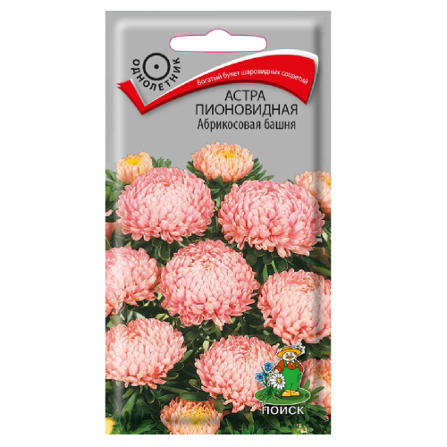 Астра пионовидная Абрикосовая башня  0_3гр_10