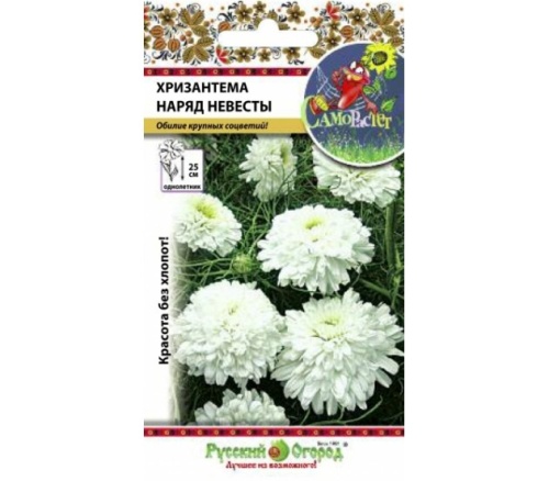 Хризантема Наряд невесты_СР  0_1гр_10_200