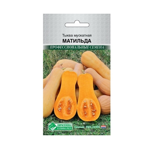 Тыква Матильда мускатная  F1 3шт  _10