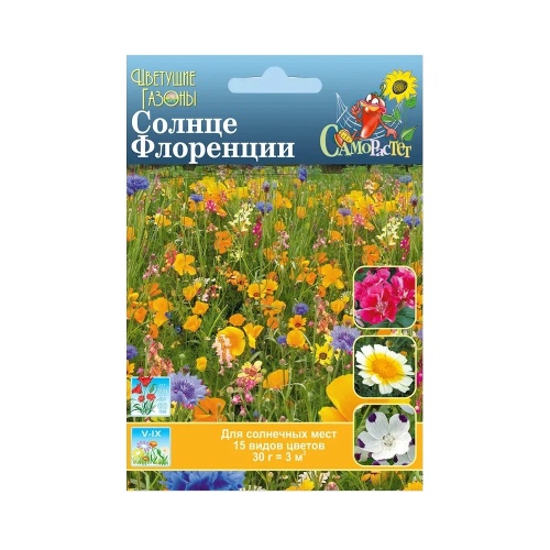 Газон цветущий Солнце Флоренции  30гр_10_100 
