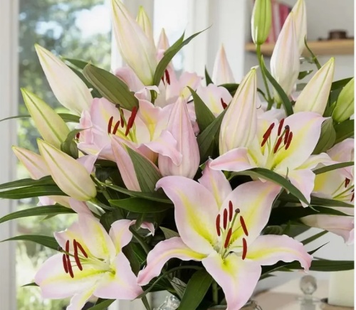 Снимок экрана 2026-01-15 135627