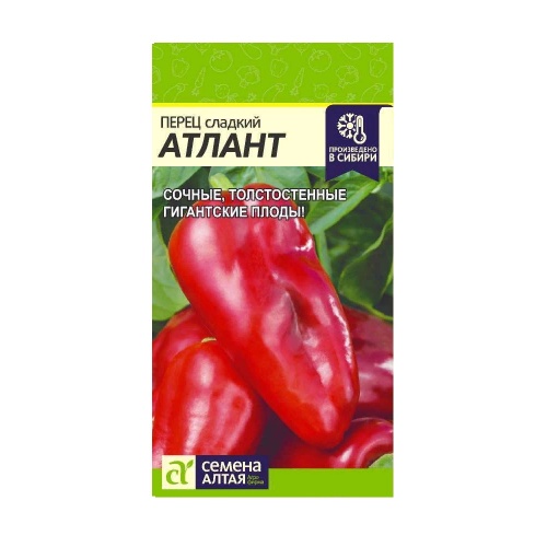 Перец сладкий Атлант 0_1 гр _10