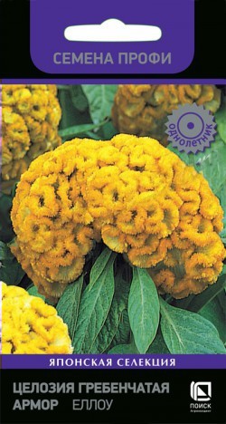 Целозия Армор Еллоу гребенчатая  15шт_10
