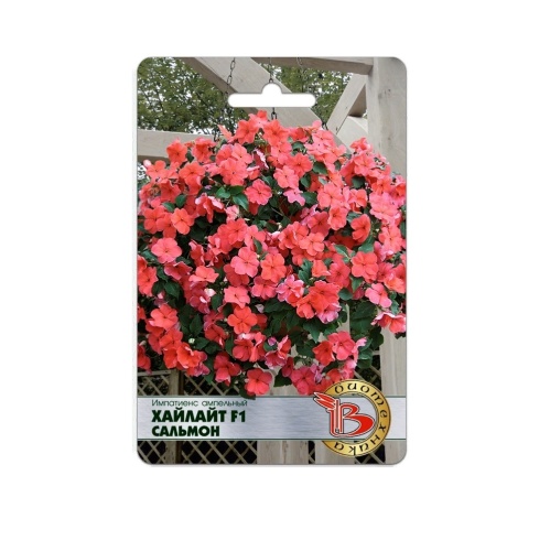 Импатиенс Хайлайт F1 Салмон ампельный  10шт_5_10