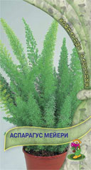 Аспарагус Мейери  3шт_10 