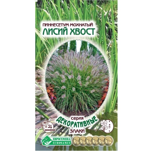 Пиннесетум Лисий хвост мохнатый  5шт_10
