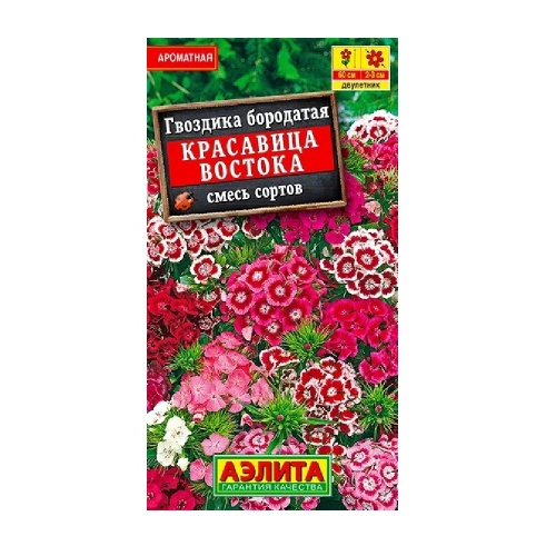 Гвоздика Красавица востока турецкая 0_1 гр  _10