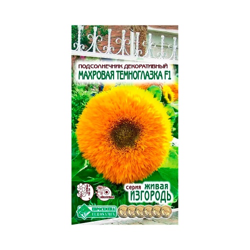 Подсолнечник декоративный Махровая темноглазка 5шт _10