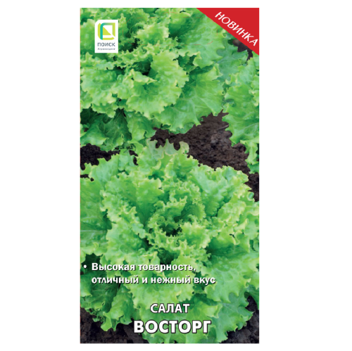 Салат Восторг  1гр_10