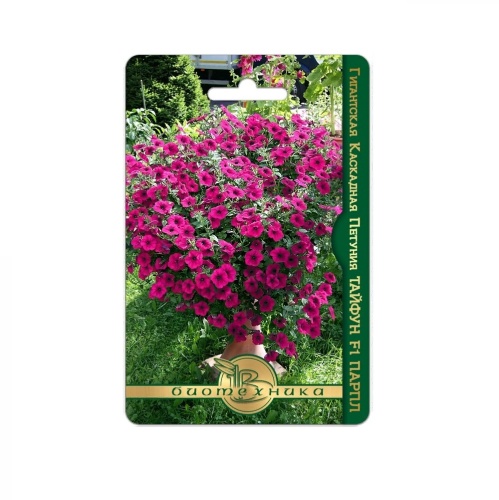 Петуния Тайфун F1 Парпл каскадная  5шт_5_10