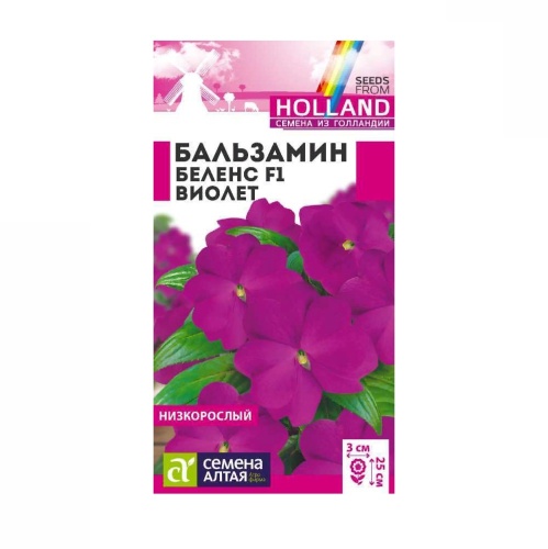Бальзамин Беленс Виолет  4-5шт_10